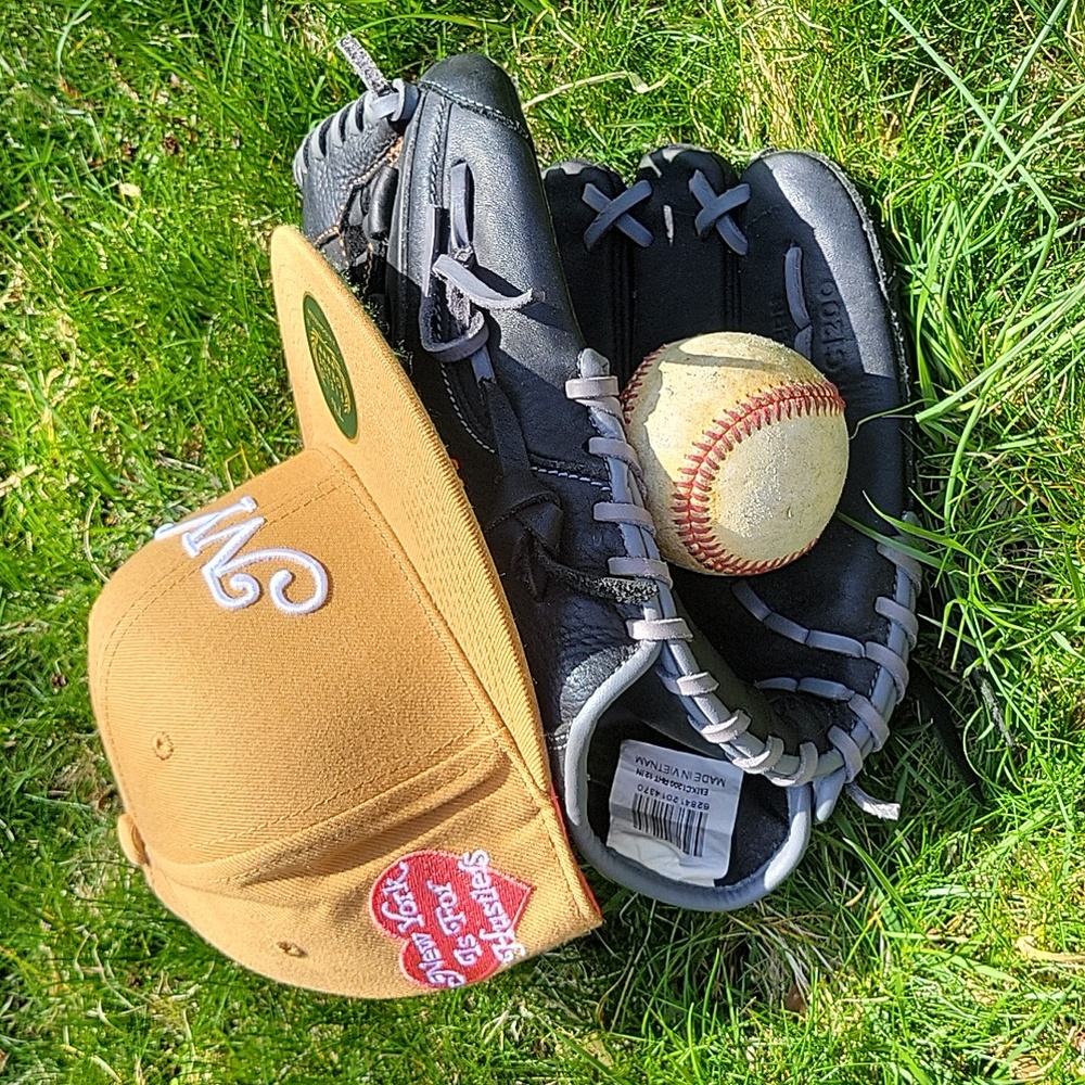 NWT Field Grade Fitted Cap